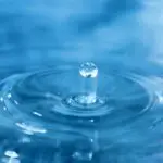 Take the Survey: Glendale Water Rate Meetings